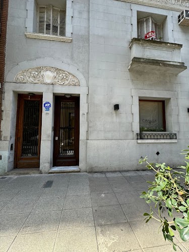 Capilea Belgrano - Clínica de Implante Capilar logo