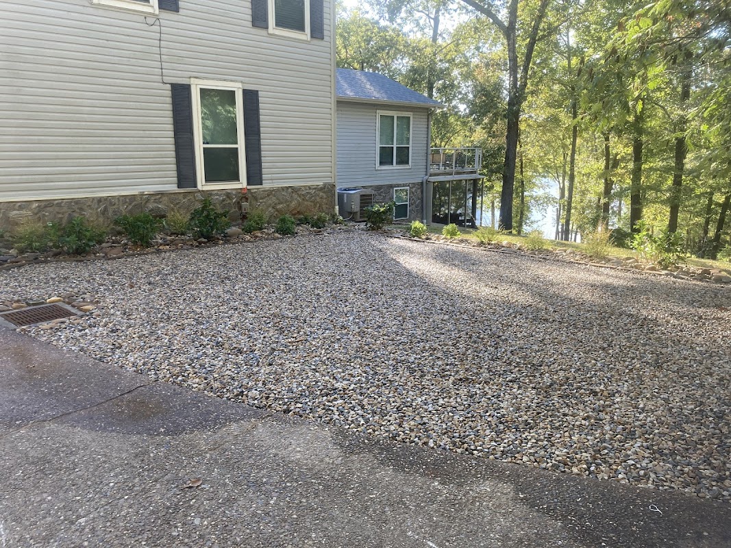 Lucid Terra project 4