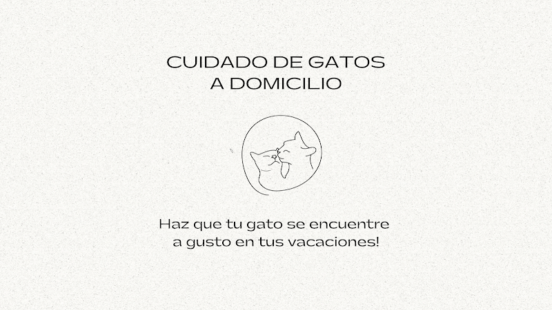 Catsitter en Palma - A domicilio