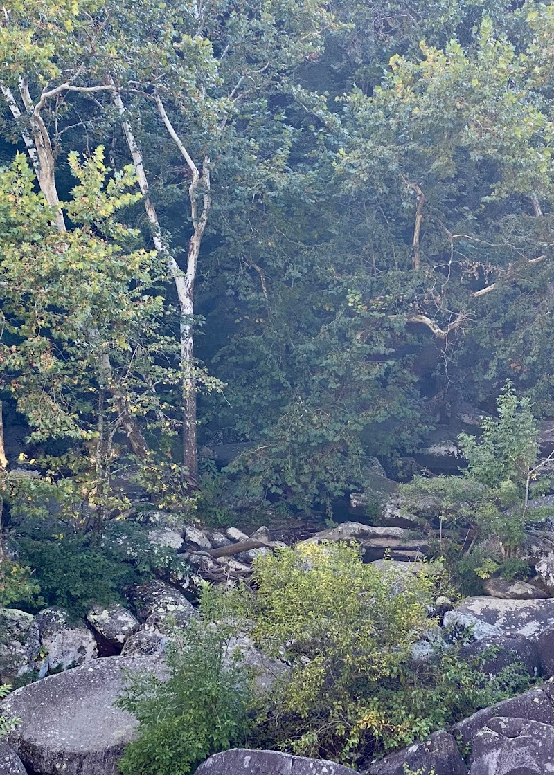 The Inn at St Peter's Village photo 4