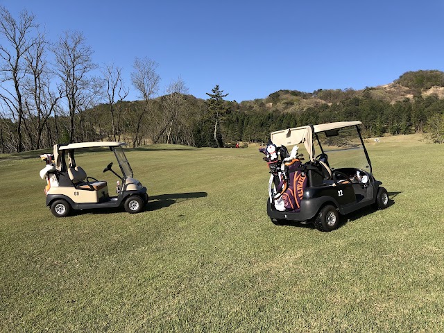 Rurikei Golf Club - Photo 9