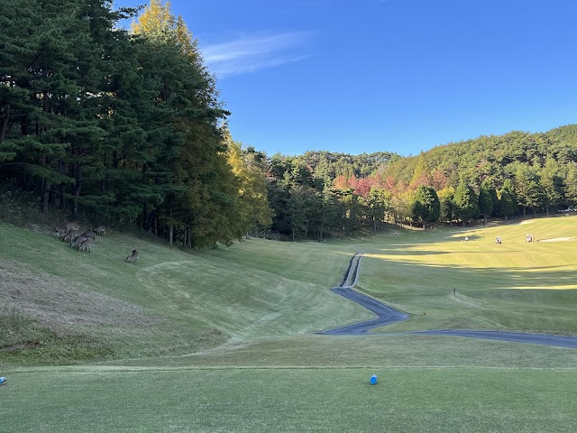 Rurikei Golf Club - Photo 5