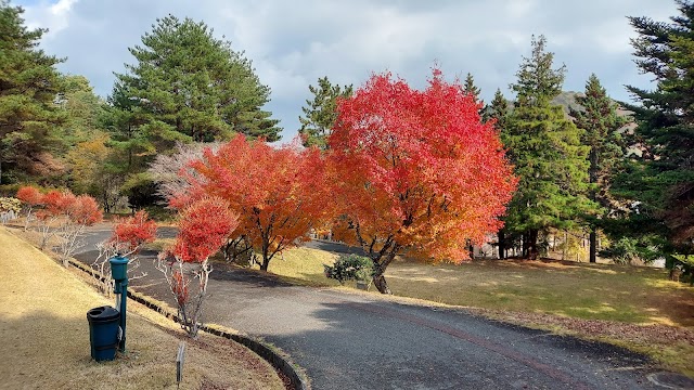 Rurikei Golf Club - Photo 7