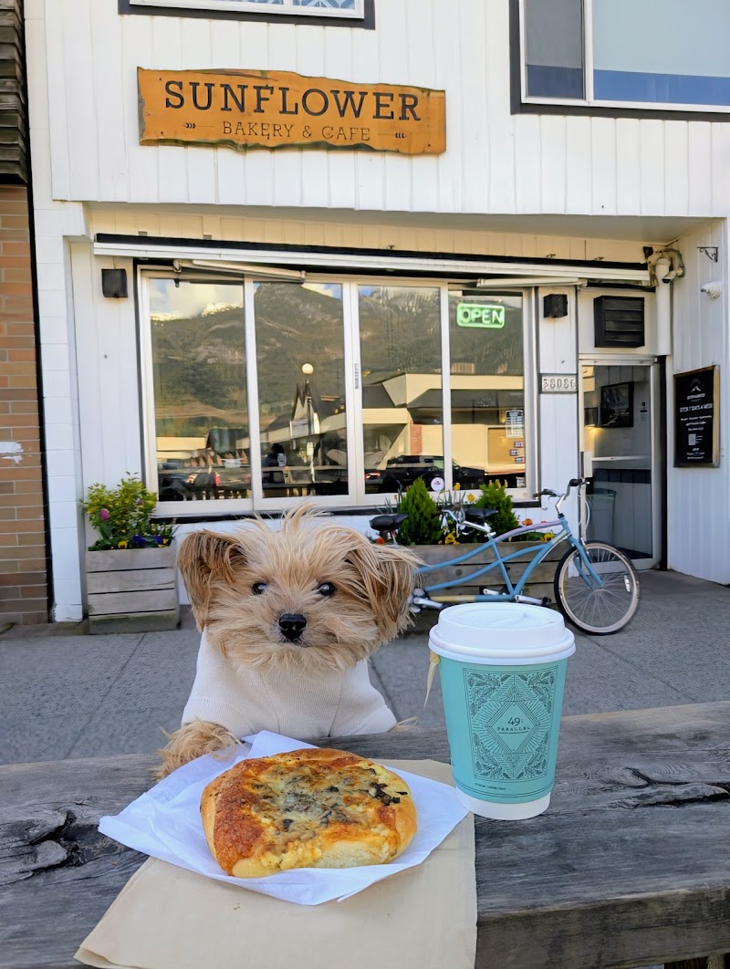 Sunflower Bakery Café photo 1