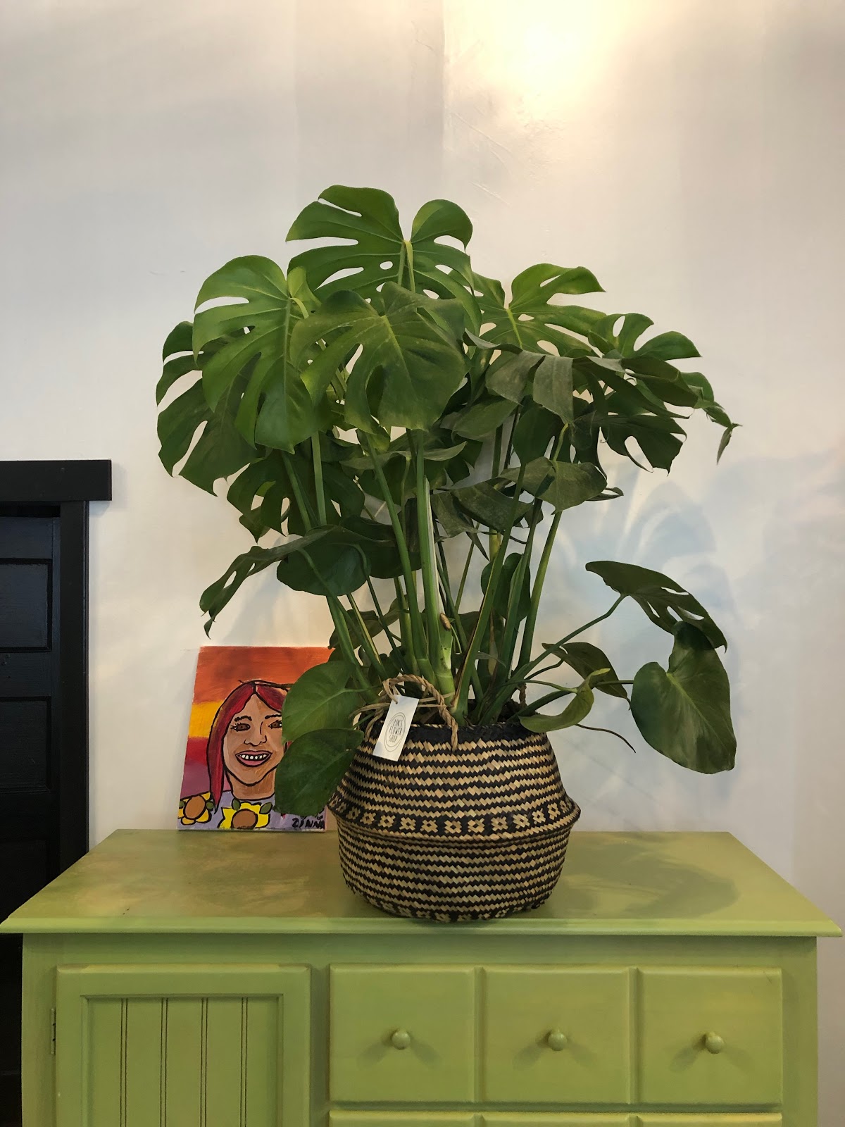 zins flower shop: Google Places image 5