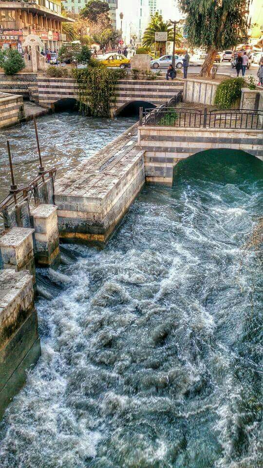 Damascus