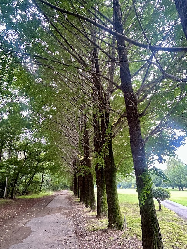 Shin Tamamura Golf Course - Photo 9