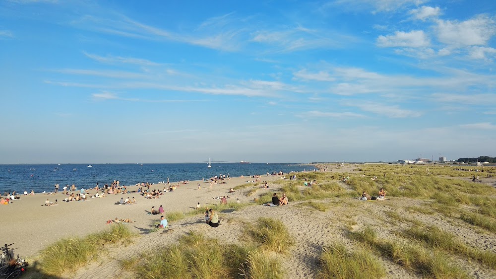 Amager Beachpark fotoğraf 1