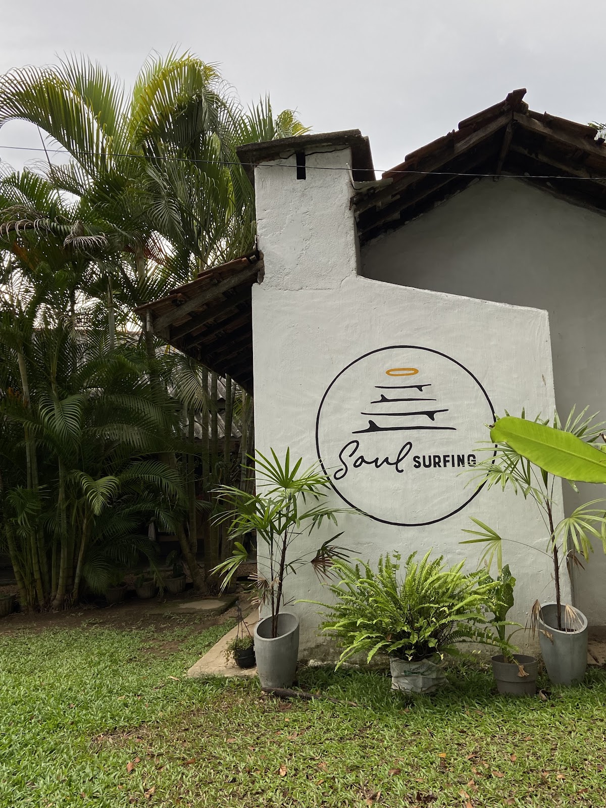 Soul Temple. Surfing School — 3