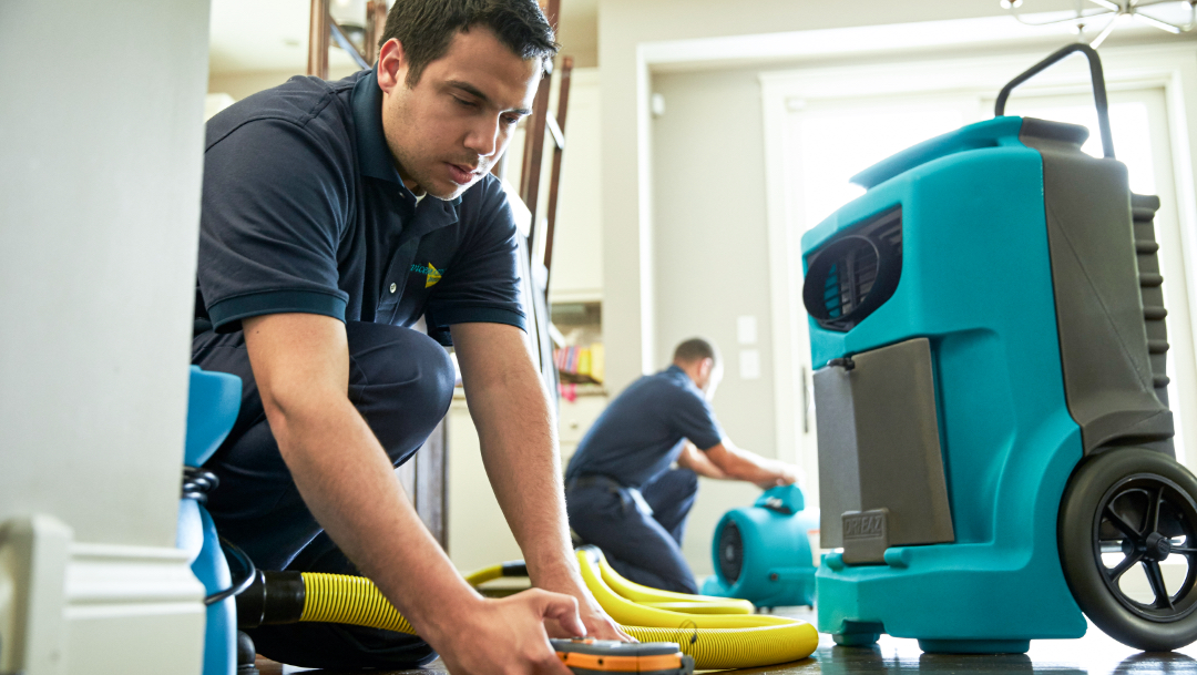 ServiceMaster Restoration by Frontline — photo