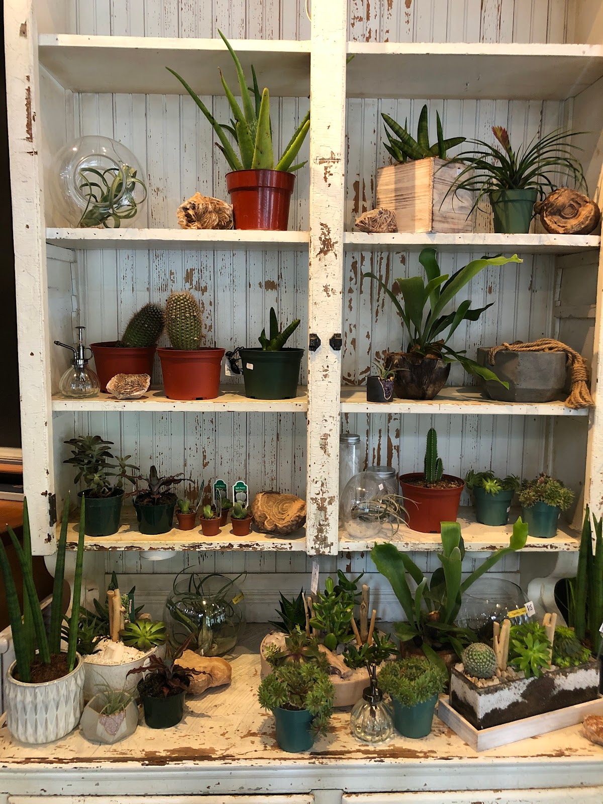 City Scents Floral & Home: Google Places image 5