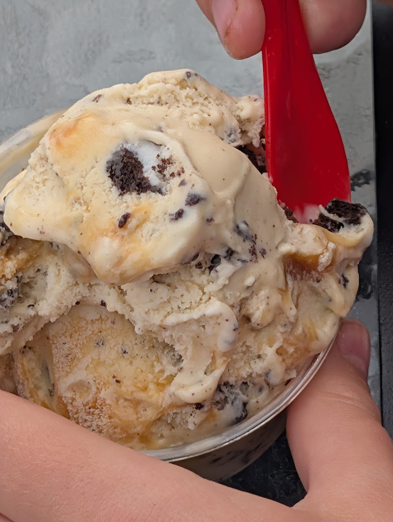 The Gelato Fiasco Old Port photo 4