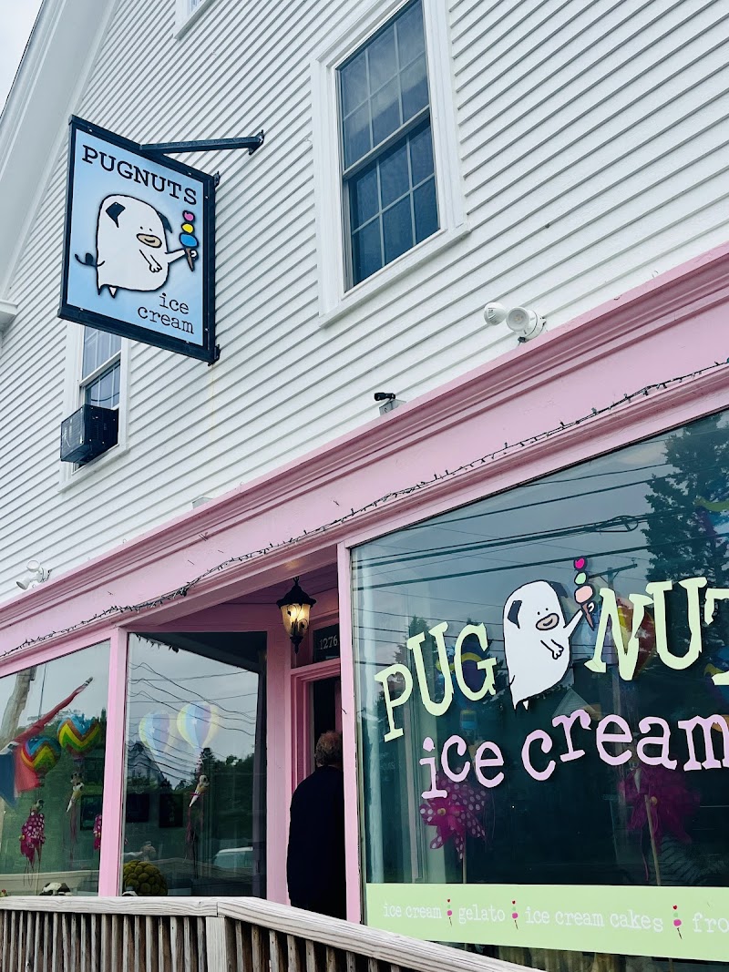 Pugnuts Ice Cream Shop photo 4