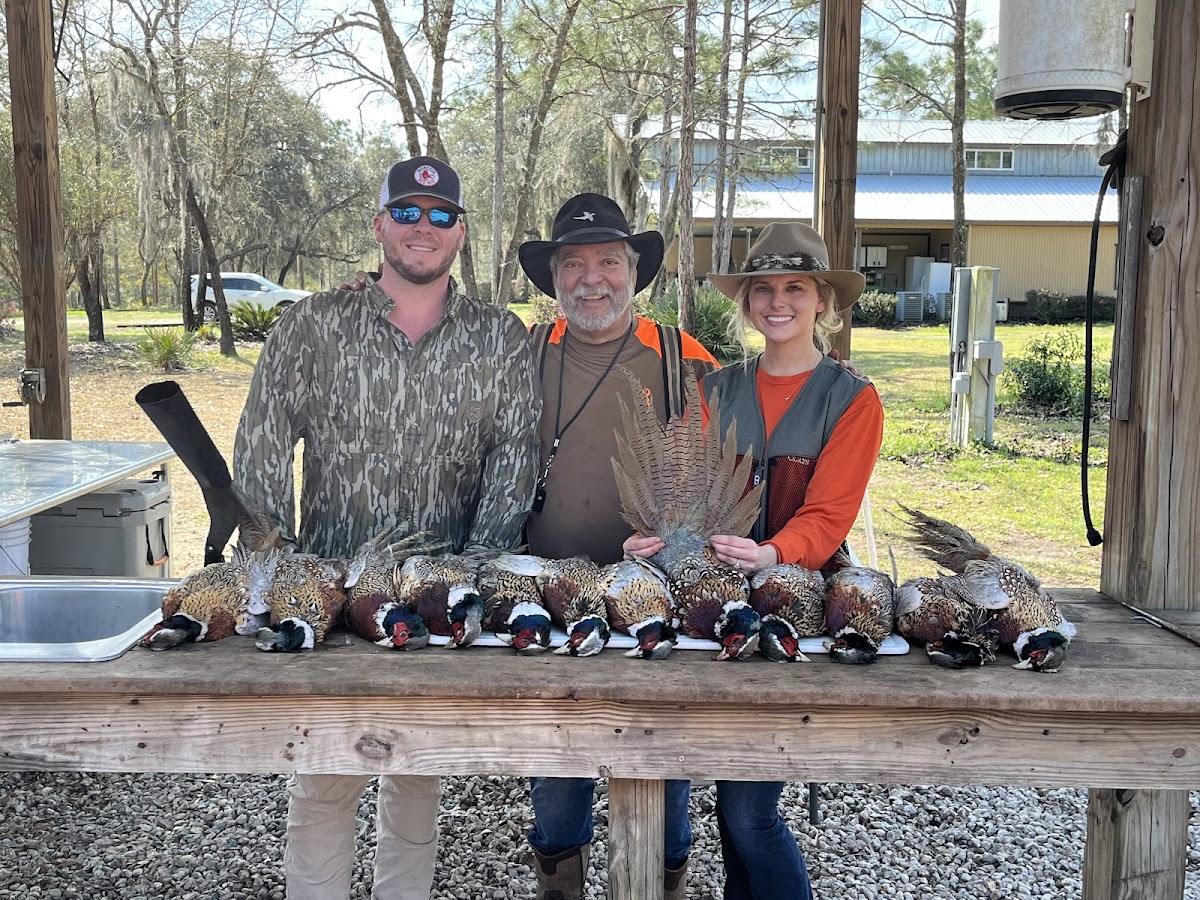 Bird Hunting Florida
