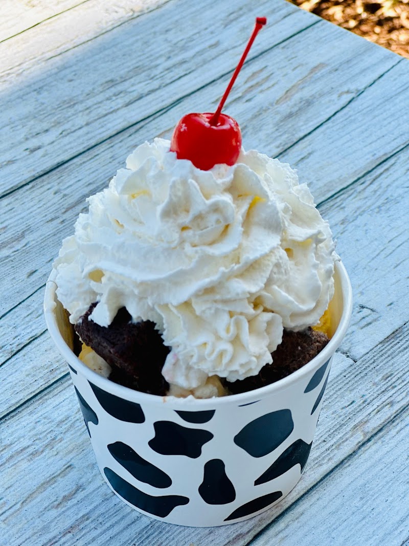 Uncommon Cow photo 2