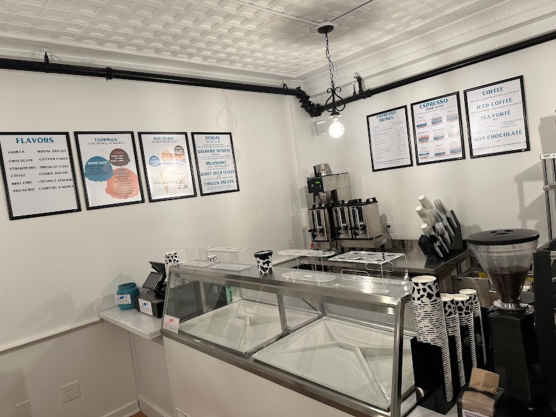 Uncommon Cow photo 1