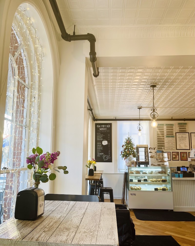 Uncommon Cow photo 3