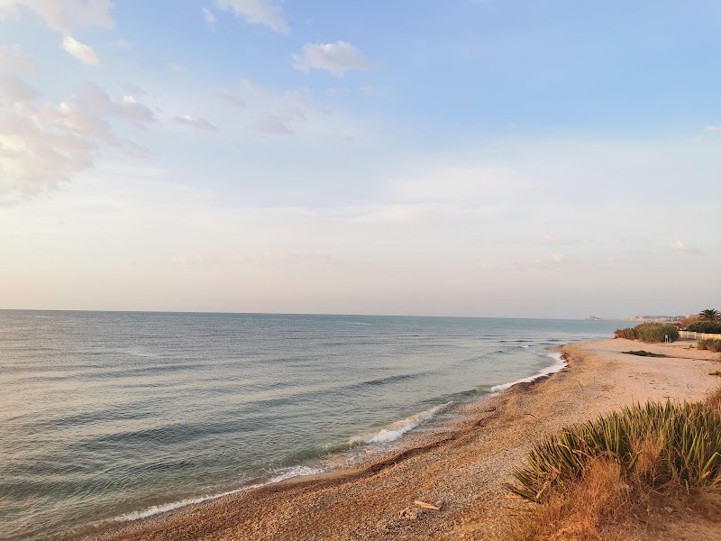 Playa Aiguaoliva•Apta Para Perros