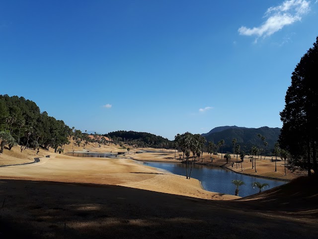 Golden Palm Country Club - Photo 5