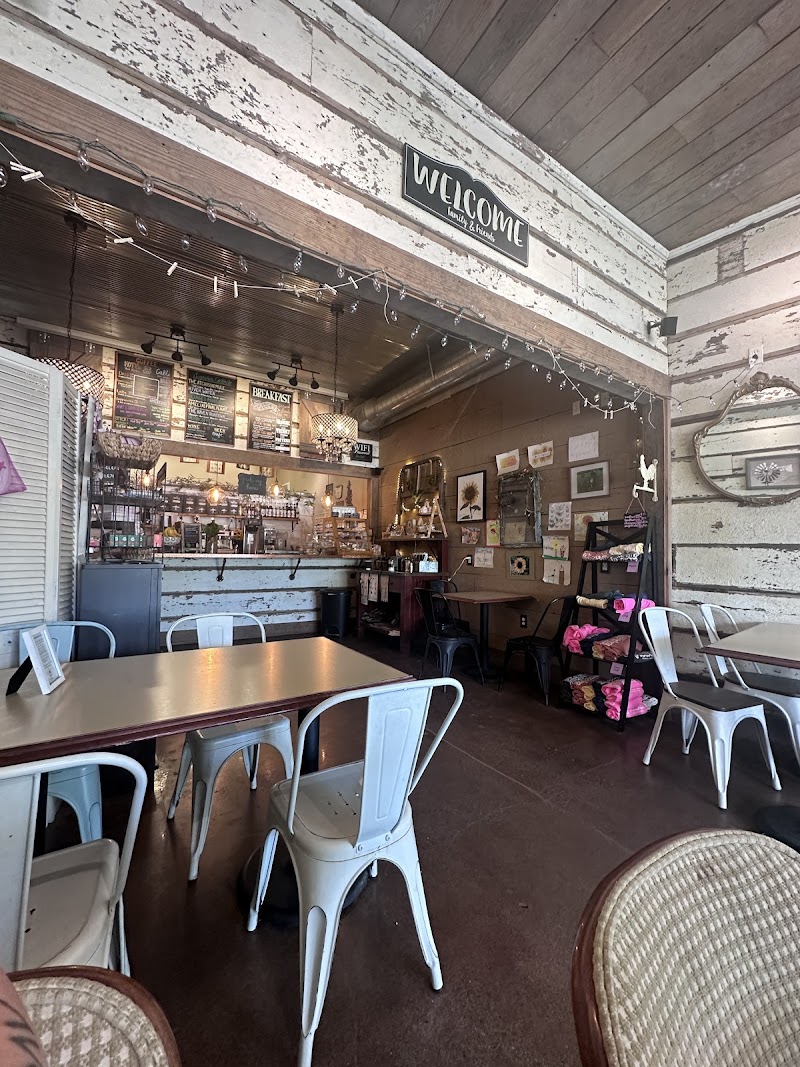 The Sunflower photo 4