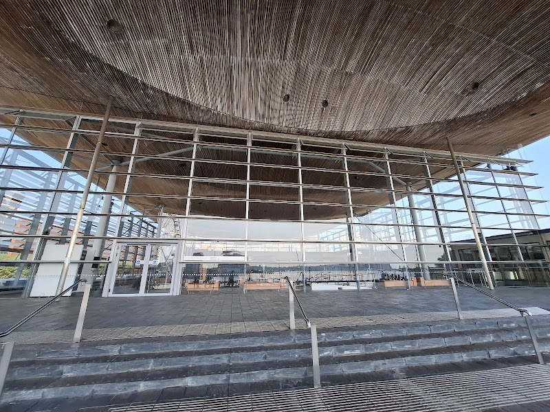 Senedd