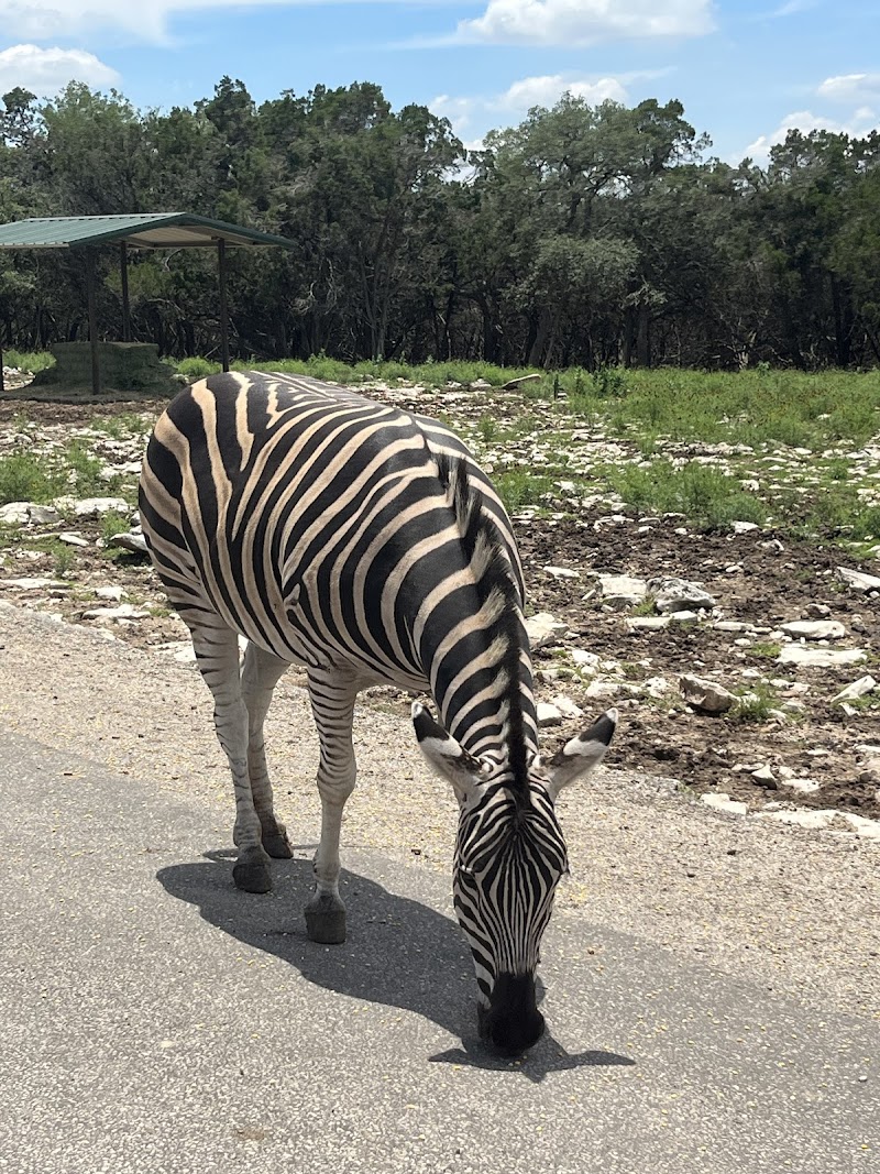 The Wildlife Ranch - Photo 2