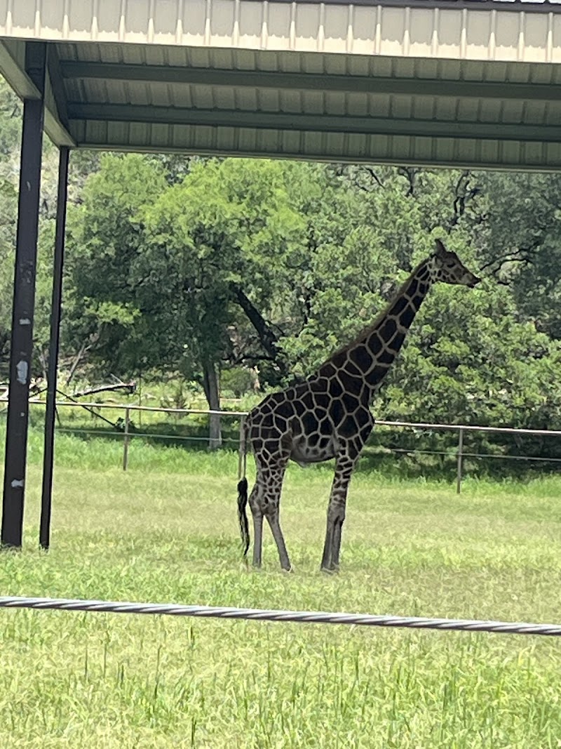 The Wildlife Ranch - Photo 1