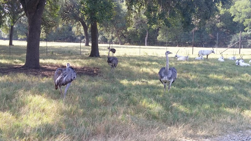 The Wildlife Ranch - Photo 4