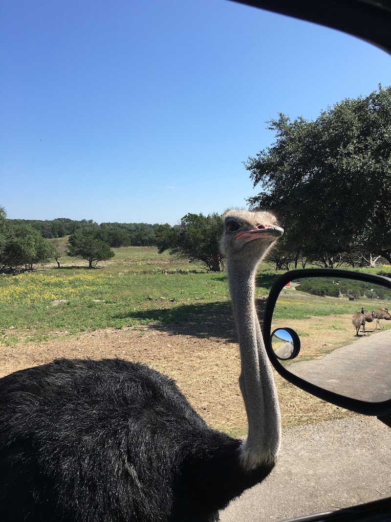 The Wildlife Ranch - Photo 6