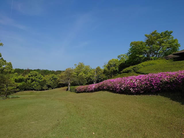 Springfield Golf Club - Photo 10