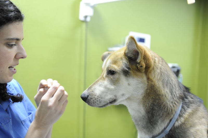 Clinica Veterinaria Wecan Cosmopet photo 2