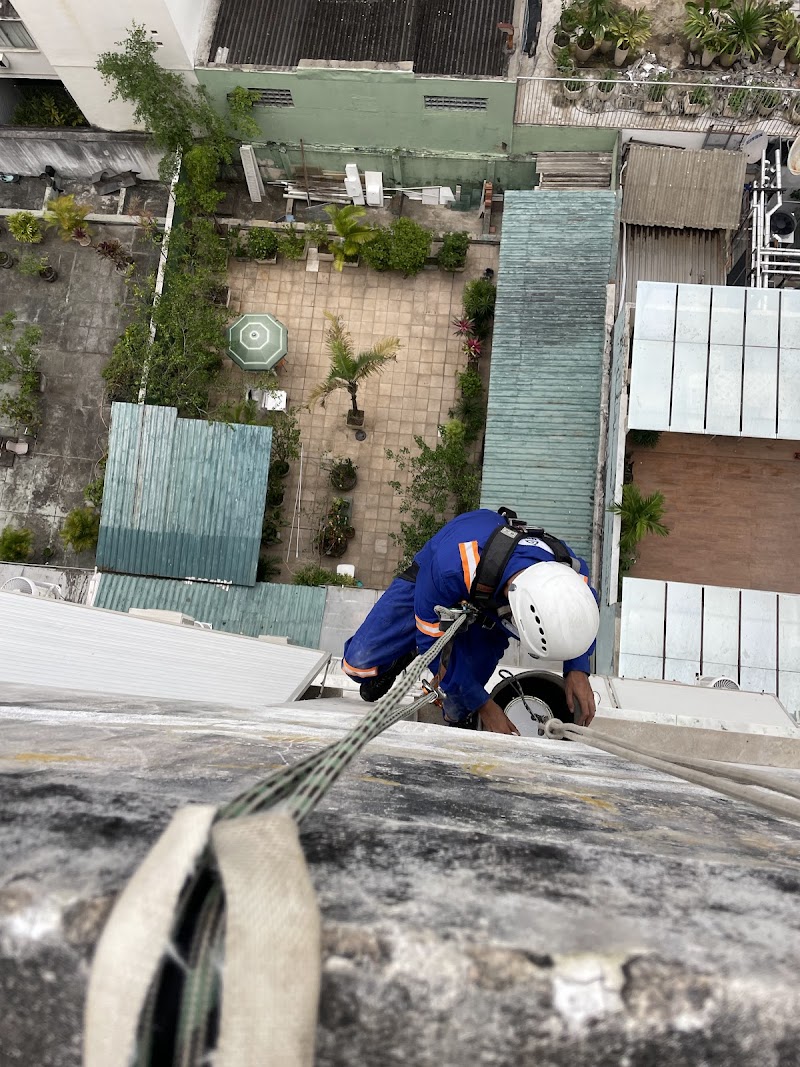 Dra. Teresa E.C. de Miranda