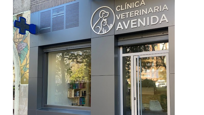Clínica Veterinaria Avenida