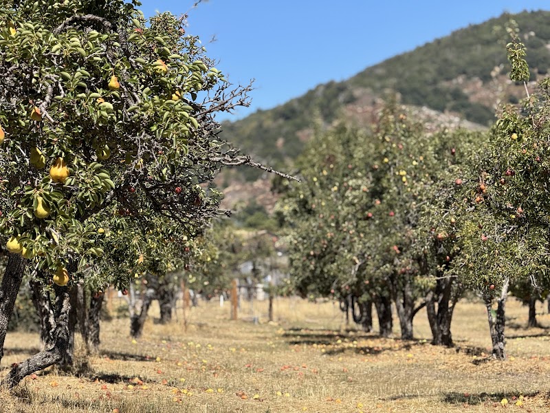 Highlands Farm & Orchard