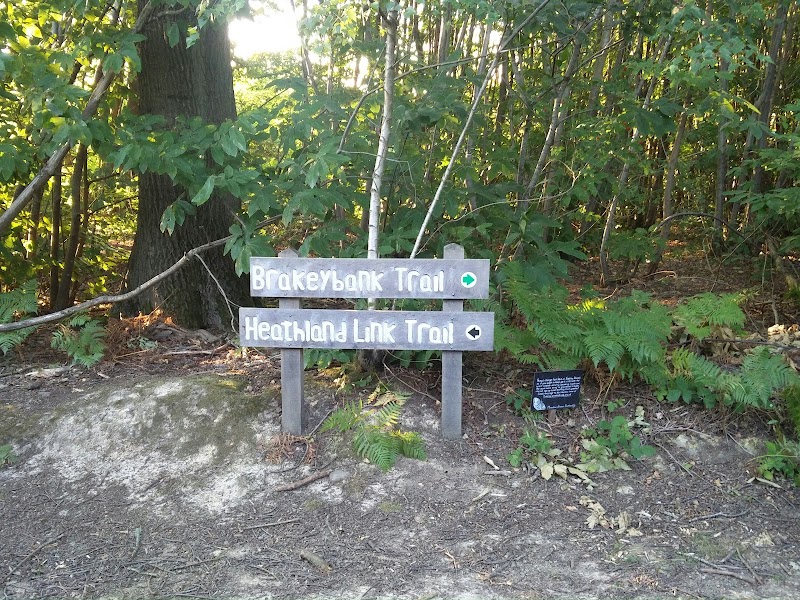 Tudeley Woods