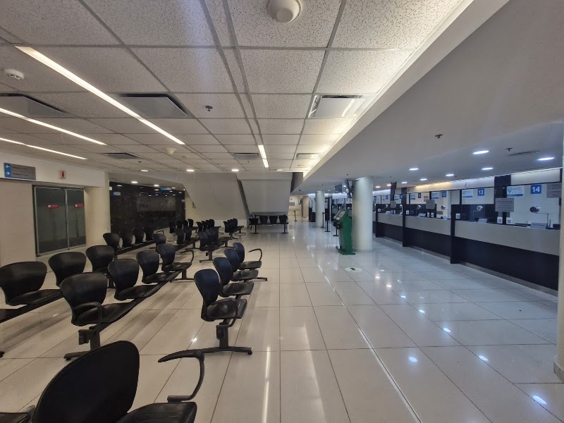 Gallery 3