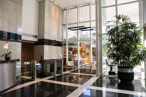 Vinci Hair Clinic Vila Olímpia | Transplante Capilar em São Paulo logo