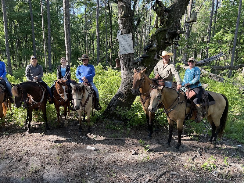 Rustic Sky Horse Camp - Photo 1