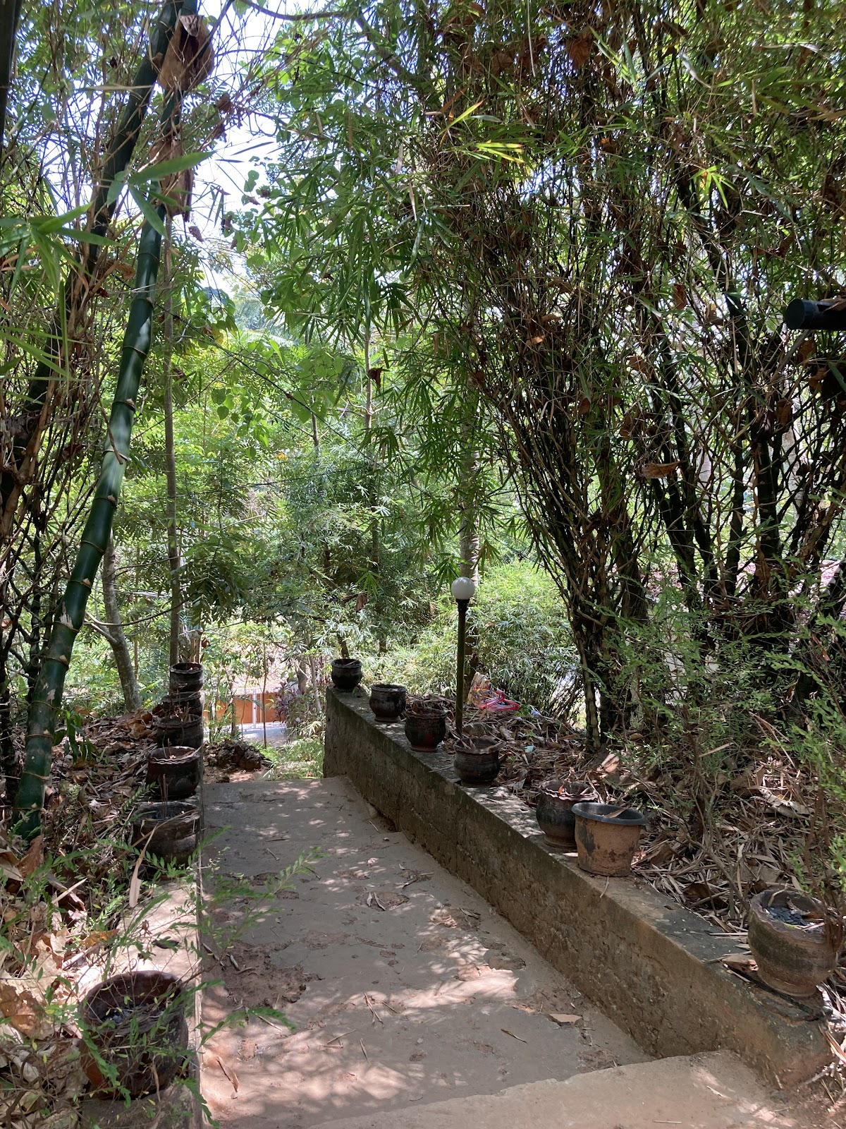 Agnihotra Yoga Retreat — 3