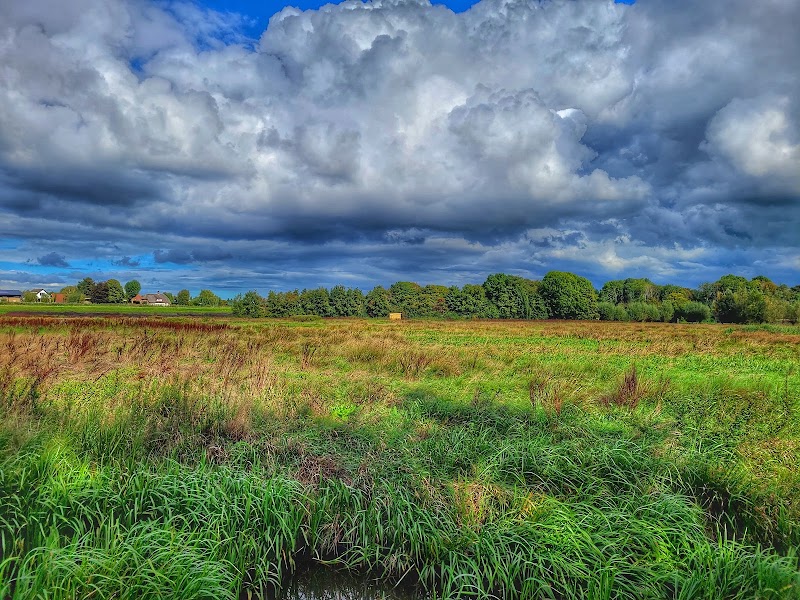 Ommoordse Veld