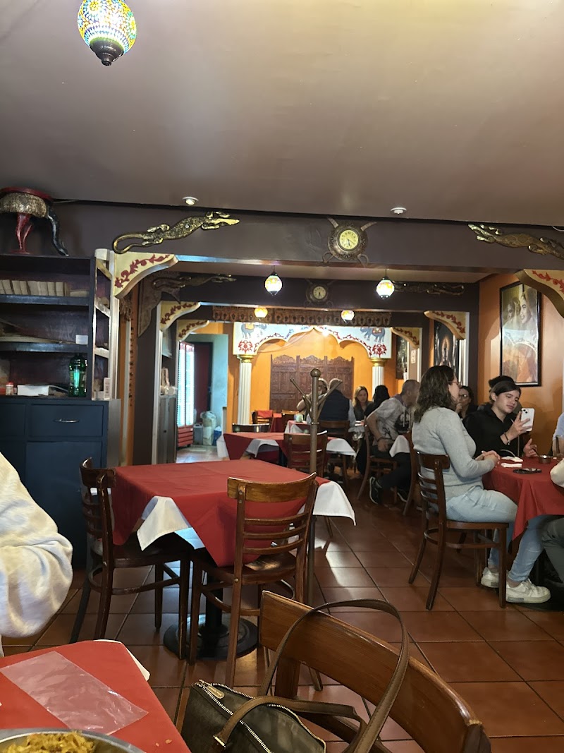 Elephant House photo 4