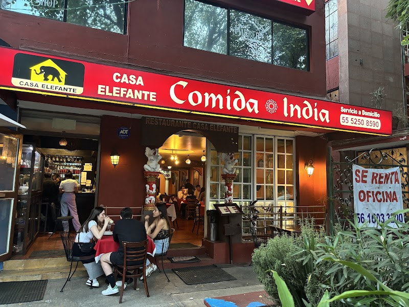 Elephant House photo 5