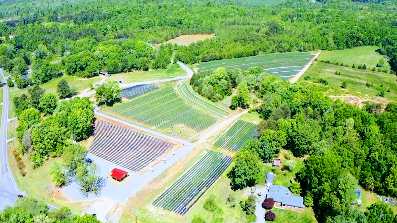 Freedom House Farm (and Coffee Trailer) photo 2