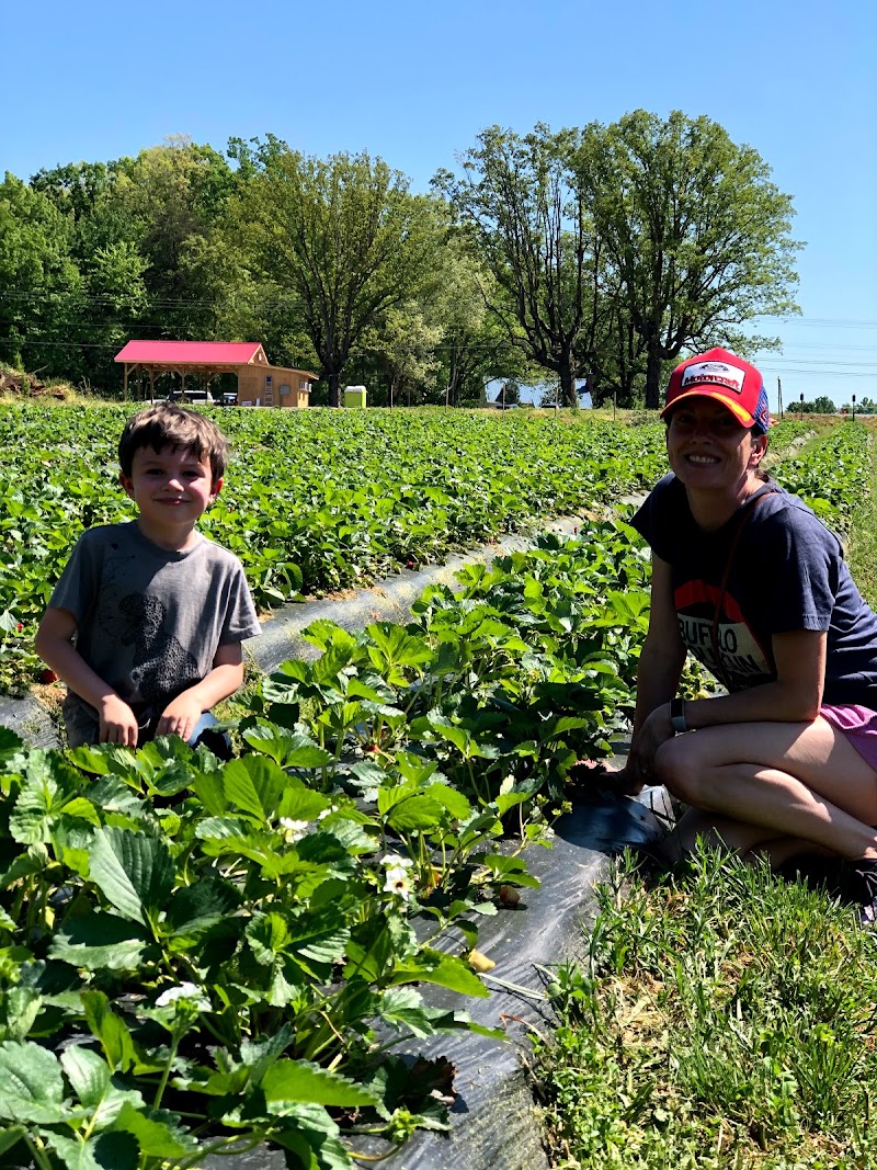 Freedom House Farm (and Coffee Trailer) photo 4