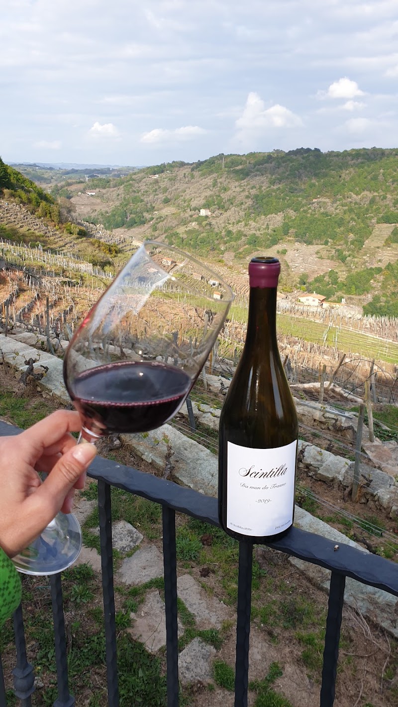 Finca Scintilla photo 3