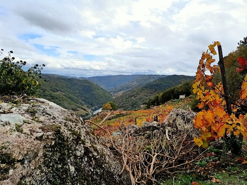 Finca Scintilla photo 5