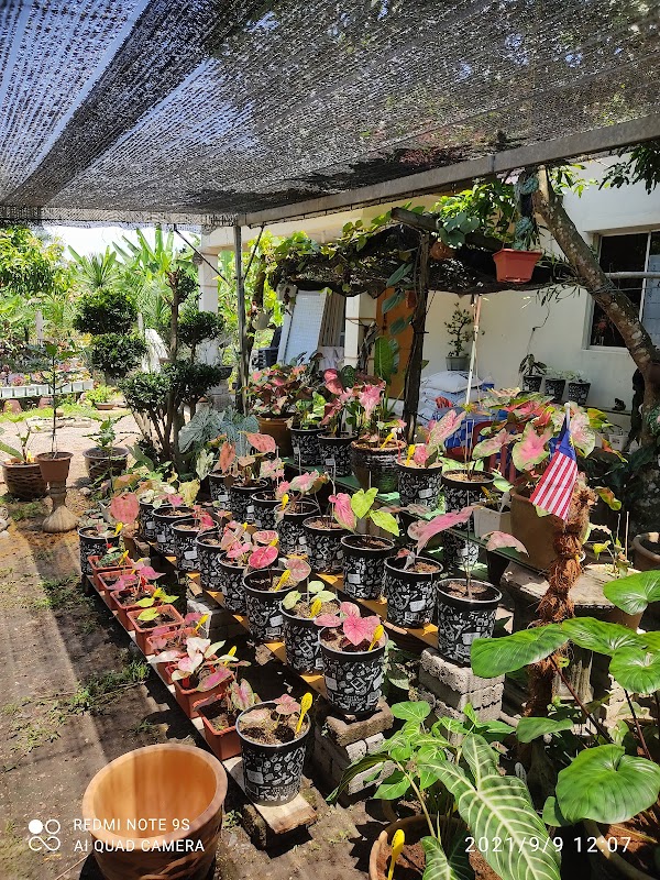 Warung Wana Lan kg sg putat - Photo 1