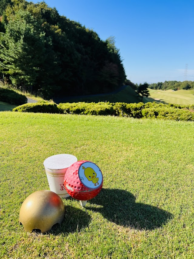Nisshin Miyako Country Club - Photo 8