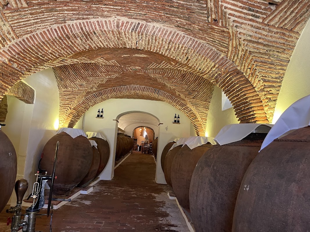 ADEGA MUSEU DO VINHO DA TALHA
