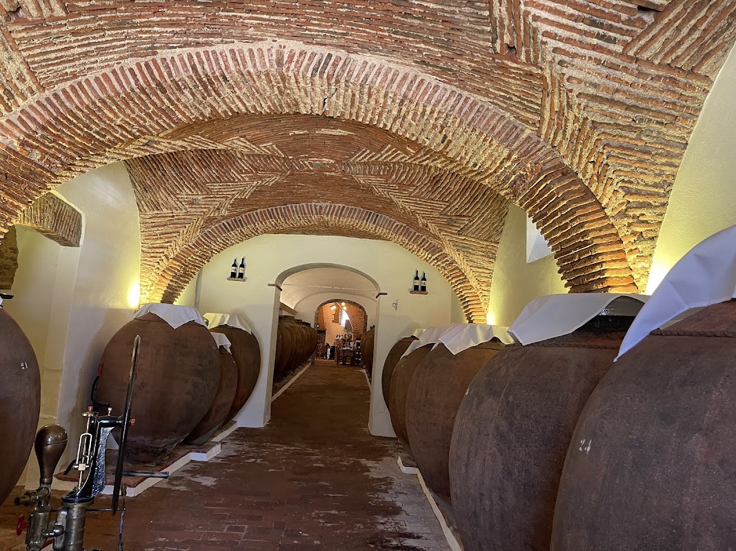 ADEGA MUSEU DO VINHO DA TALHA